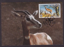 Gazelle - Senegal - Maximumkaarten