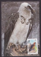Oiseau - Lesotho - Cartes-maximum