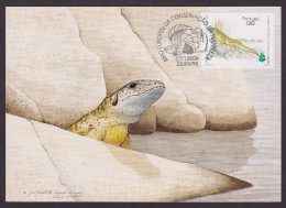 Cameleon - Portugal - Tarjetas – Máxima