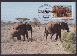 Elephant - Uganda - Maximum Cards