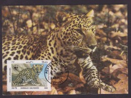 Leopard - Kaboul - Maximumkarten