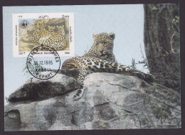 Leopard - Kaboul - Maximumkaarten