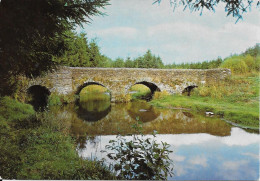 MAISSIN - Le Pont Marie-Thérèse - Paliseul