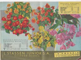 PO3306D# Catalogo LISTINO ILLUSTRATO 1955 FLORICOLTURA L.STASSEN JUNIOR S.A. Hillegom-Olanda/FIORI - Jardinage