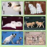 New Zealand - 1996 Kittens - Set (6) - NZ-D-67/72 - Mint - Katzen