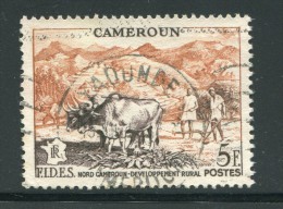 CAMEROUN- Y&T N°300-  Oblitéré - Usati