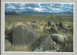 Petroglyph Site - 20,000 Glyphes Jornado Mogollon Culture - New Mexico Carrizozo (rochers, Ameridiens) - Sonstige & Ohne Zuordnung