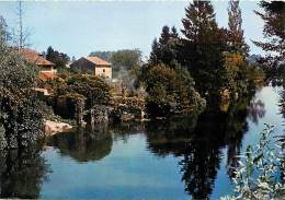 Réf : T 15 -081 :  PONT DE VAUX - Pont-de-Vaux