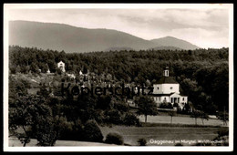 ALTE POSTKARTE GAGGENAU IM MURGTAL WALDFRIEDHOF Friedhof Cemetery Churchyard Cimetière AK Ansichtskarte Postcard Cpa - Gaggenau