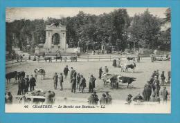 CPA 66 - Métier Maquignons Le Marché Aux Bestiaux CHARTRES 28 - Chartres