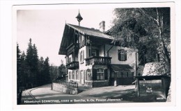 Ö-2740    SEMMERING : Pension Alpenrose - Neunkirchen