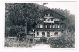 Ö-2747    PUCHBERG A. SCHNEEBERG : Hotel Alpenhof - Neunkirchen