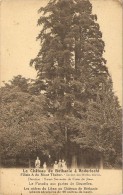 Le Château De Bethanie à Anderlecht - Filiale A Du Mont  Thabor  -  Section Des Fillettes Débiles - Anderlecht