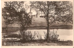 SOUMAGNE (4630) : Domaine Provincial De Wégimont - La Tour Principale Du Château Vu De L´étang "Gosi". CPSM. - Soumagne