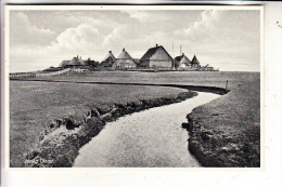 2251 HALLIG OLAND, Gesamtansicht - Halligen