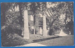 CPA -  ALPES MARITIMES - CANNES - VILLA MENIVAL - Ch. Chambon / - Cannes