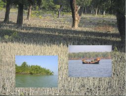 UNESCO World Heritage - Site UNESCO Bangladesh - The Sundarbans - Bangladesh