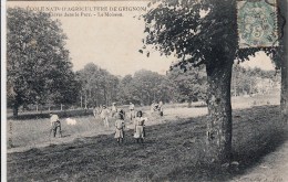 Cpa Ak Pk  2 Scans 78 Yvelines école Nationale D'agriculture De Grignon élèves Dans Le Parc La Moisson - Grignon