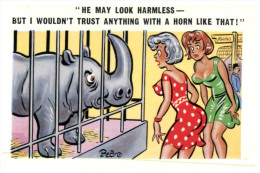 (677) Rhinoceros - Humour - Neushoorn