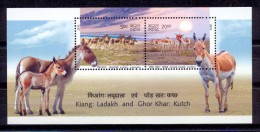 India 2013 -Minisheet -  Animals Mammals - Donkeys - Lettres & Documents