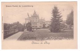 Chateau De Berg (Colmar-Berg Luxembourg) - Bernhoeft No. 119 - Undivided Back - Unused - Colmar – Berg