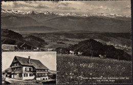 Wald Alp Scheidegg - Egg