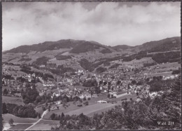 Wald Fliegeraufnahme - Wald