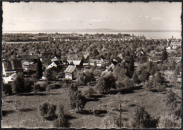 Steinach Fliegeraufnahme - Stein