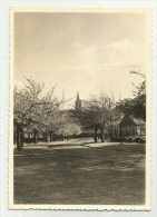 Boitsfort  *  L'Eglise - De Kerk  (CPM) - Watermaal-Bosvoorde - Watermael-Boitsfort