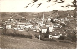 HASPARREN - Vue Générale  - Van Lyk 1 - Petite Dentelée, écrite  - Tbe - Hasparren