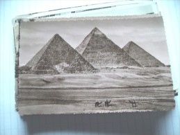 Egypte Egypt Pyramids Pyramides  And Little Camels - Pirámides