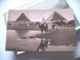 Egypte Egypt Pyramids Pyramides  And Men On Camels - Pyramids