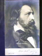 ILLUSTRATORE ALFRED TENNYSON -F.P. LOTTO N°465 - Saint Pierre And Miquelon