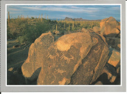 ARIZONA Saguaro - Petroglyph Hohokam People - Rochers Gravés, (animaux) Désert, Cactus - Otros & Sin Clasificación