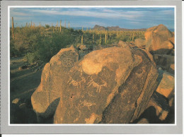 ARIZONA Saguaro - Petroglyph Hohokam People - Rochers Gravés, (animaux) Désert, Cactus - Autres & Non Classés