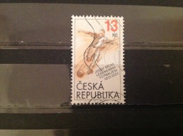 Tsjechië / Czech Republic - Josef Bican, Voetbal (13) 2013 Very Rare! - Used Stamps