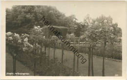 Berlin-Steglitz Im Rosengarten - Foto-AK 40er Jahre - Rückseitig Keine AK-Einteilung - Steglitz