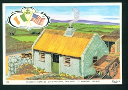 IRELAND  -  Kennedy's Cottage  Dunganstown  Unused Vintage Postcard As Scan - Wexford
