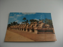 STORIA POSTALE FRANCOBOLLO COMMEMORATIVO Egypt Egitto Karnak The Sphinx Avenue Via Delle Sfingi - Sphynx