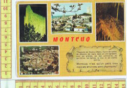 46  MONTCUQ - Montcuq