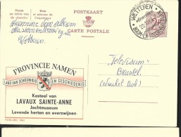 Publibel Obl. 1961 ( Province Namen; Lavaux Sainte-Anne) Obl: Wetteren Pépinières 20/11/1964 - Werbepostkarten
