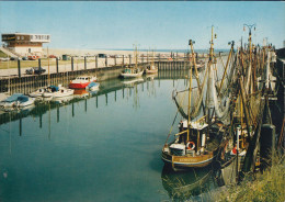 D-26553 Dornum - Dornumersiel - Accumersiel - Hafen - Fischkutter - Cars - Aurich