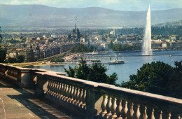 GENEVE   -   La Rade Et La Ville Depuis Cologny - Cologny