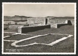 JRGENHAUSEN ZH Römisches Castell Bei Pfäffikon ZH Ca. 1950 - Pfäffikon