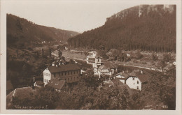 AK Niedergrund Dolni Zleb Gasthof ? Bei Obergrund Priper Herrnskretschen Hrensko Laube Tetschen Decin Schöna Schmilka - Sudeten