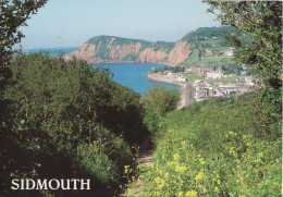 Exeter - Sidmouth - From Salcombe Hill - Exeter