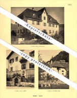 Photographien / Ansichten , 1925 , Rodels , Dusch , Domleschg , Prospekt , Architektur , Fotos !!! - Domleschg