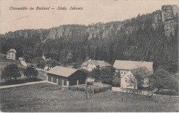 AK Bielatal Gasthof Ottomühle Bei Rosenthal Schweizermühle Gottleuba Buchenhain Eiland Ostrov Sächsische Schweiz - Rosenthal-Bielatal