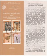Stamped Info. Birbal Sahni Insitute Palaeobotany Archaeology Plant Fossil Botany Science Environment Nature India 1997 - Archaeology