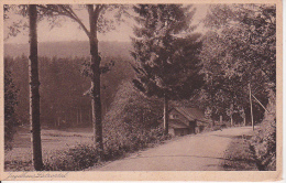 AK Jagdhaus Latroptal - Sauerland - Gasthof Und Pension Wiese (19650) - Schmallenberg